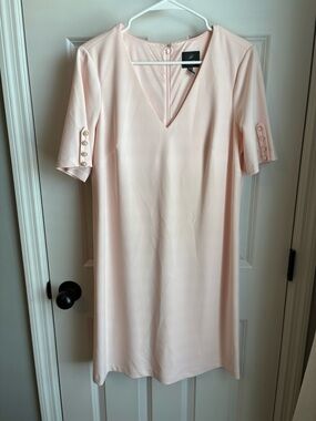 Adrianna Papell Blush Pink V-Neck Dress